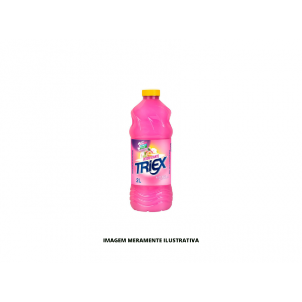 DESINFETANTE - TRIEX - 2L PERFUMES DA MANHÃ - CX6